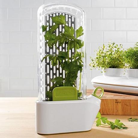 II. CONSERVACIÓN II. CONSERVACIÓN