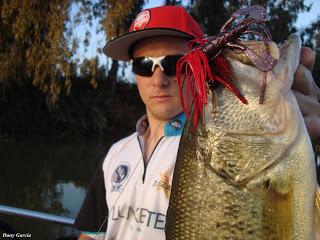 Primer bass del año