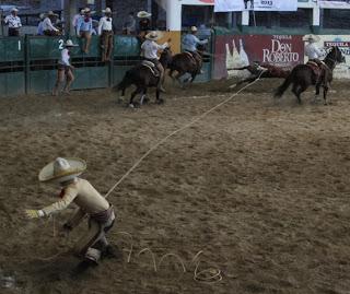 “Relincho” 3 Potrillos