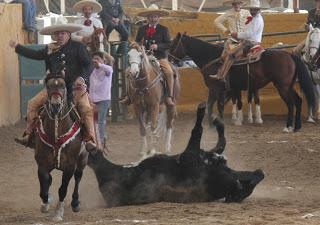 “Relincho” 3 Potrillos