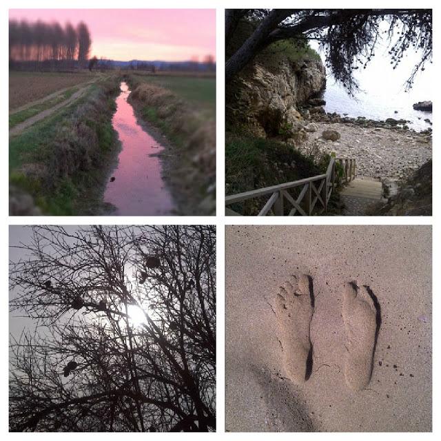 mis momentos en Instagram -- my instants in Instagram