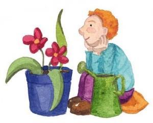 diseño web seo sem empresa alicante posicionamiento importante diseño web seo sem empresa alicante posicionamiento importante