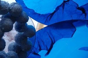 Flipa tulipa (III) (Fiestas Gracia, Barcelona, 2010) FLIPAAA TULIPAAA! ;-) (III)