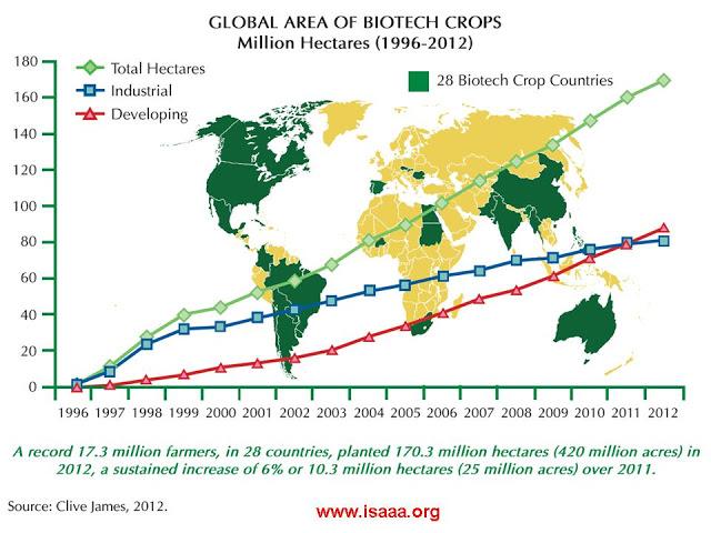 Transgénicos cosecha del 2012