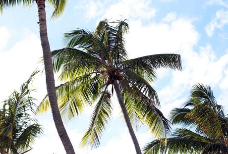 HELLO PUNTA CANA HELLO PUNTA CANA