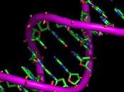 Estudios ADN: dicen analisis geneticos sobre nuestro futuro