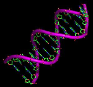 Estudios de ADN: que nos dicen los analisis geneticos sobre nuestro futuro.