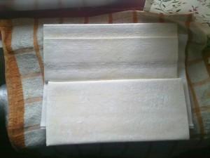 Palmeritas – Guillermo Martín