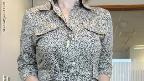 Mis Looks - Vestido estampado de Leopardo