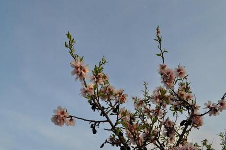 look: rayos de primavera