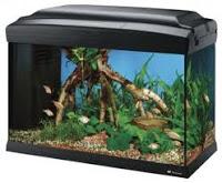 Los tios de la criatura (II) La obra maestra