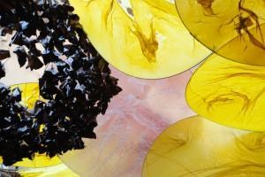 Flipa tulipa (IV) (Fiestas Gracia, Barcelona, 2010) FLIPAAA TULIPAAA! ;-) (y IV)