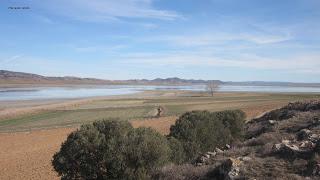III Festival Grullero (III): 15 de febrero, gran día de migración en la laguna de Gallocanta.