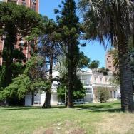 el-sitio-curutchet-2