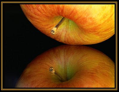 Entrando por el 2.0 aún sin saber que es eso