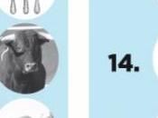 Adivina nuevos títulos estrenamos filmin