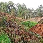 los últimos coletazos de ....lo VERDADERAMENTE IMPORTANTE, la salud de la tierra