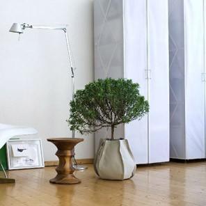 Todo deco, MUY deco... Todo deco, MUY deco...