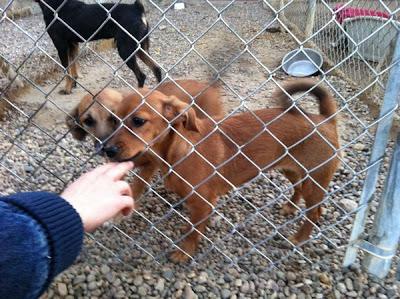 PINA Y MINA, ENCERRADAS DE POR VIDA?‏