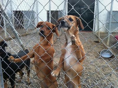 PINA Y MINA, ENCERRADAS DE POR VIDA?‏