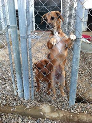 PINA Y MINA, ENCERRADAS DE POR VIDA?‏