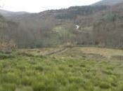 Radio Minera, Ruta Carbón. Programa Toreno-Páramo