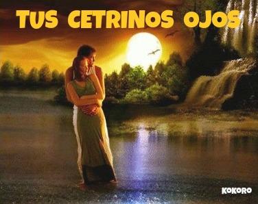 Tus cetrinos ojos Paperblog