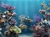 pequeño (Por:Alfredo Abrisqueta)