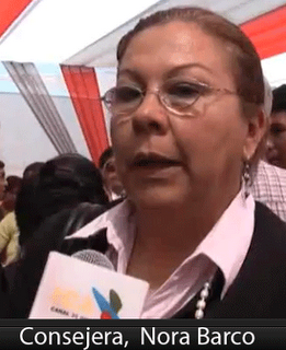 CONSEJO REGIONAL DE ICA RECONOCE QUE CAÑETE SUSTENTA MEJOR LA  DEFENSA DE SUS LIMITES…