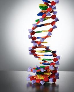 Para saber más sobre le ADN