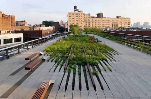 plantas-autóctonas-de-la-zona-en-el-high-line