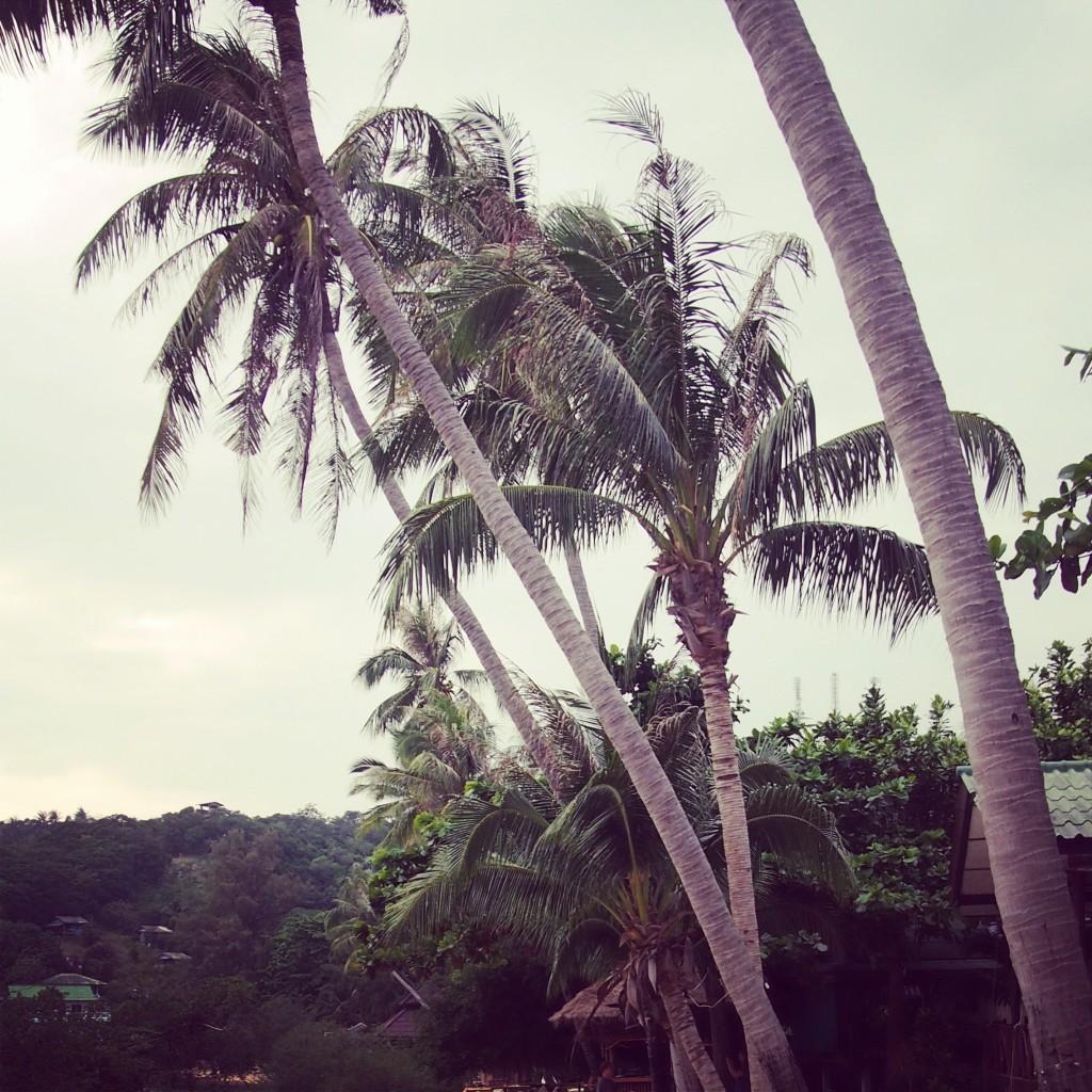 Seaside Koh Tao (Thailand)