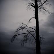 fotosxsolschiller-10