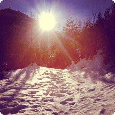 SNOW & SUN