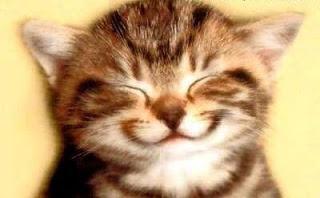 Y ES QUE ME PONGO TIERNA¡¡¡...