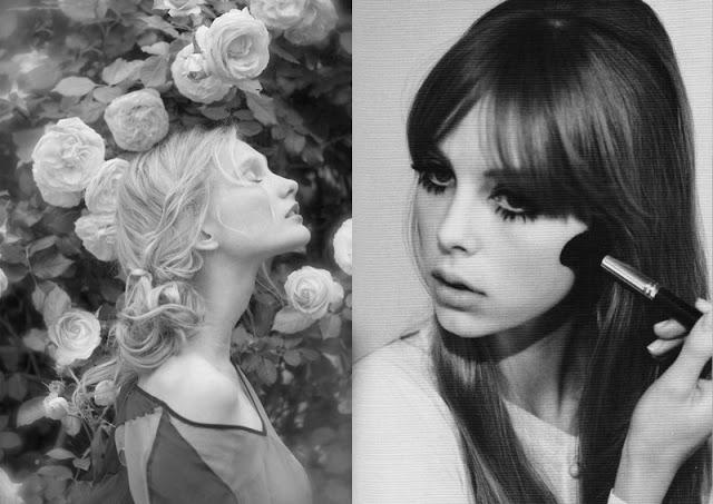 Tangle Teezer SORTEO