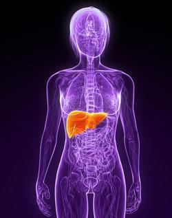 El peligro oculto la hepatitis