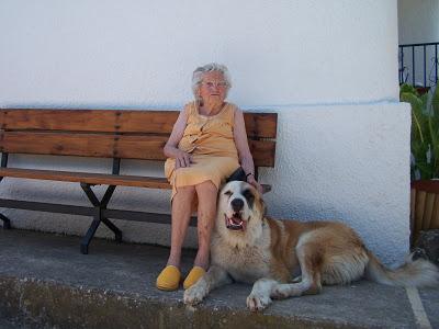 URGENTE!! MASTIN PERDIDO LLIRIA -URB. SAN GERARDO.