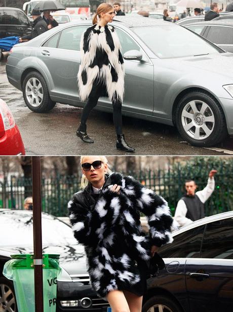 INSPIRATION FUR COATS