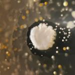 Bioarte creado con bacteria que se encuentra en los smartphones