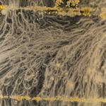 Bioarte creado con bacteria que se encuentra en los smartphones