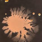 Bioarte creado con bacteria que se encuentra en los smartphones