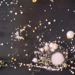 Bioarte creado con bacteria que se encuentra en los smartphones