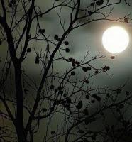 Nunca poder explicar lo que se siente al ahogarse en el t...