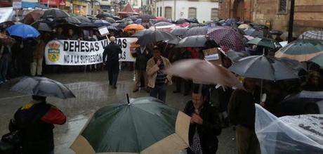 ¿POR QUÉ FUE TANTA GENTE A LA MANIFESTACIÓN?