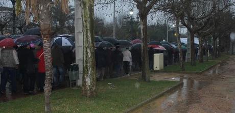 ¿POR QUÉ FUE TANTA GENTE A LA MANIFESTACIÓN?