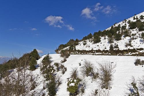 Palombera - Al margen del río Saja
