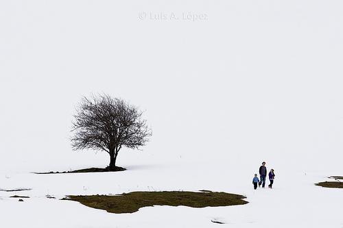 Palombera - Al margen del río Saja