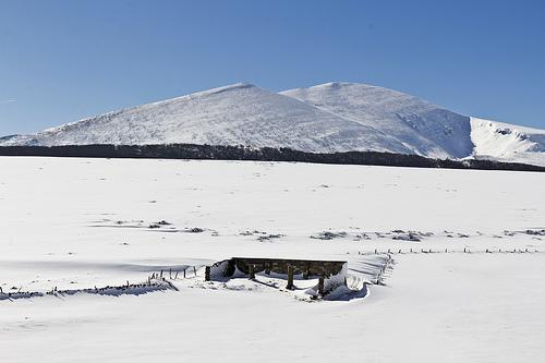 Palombera - Al margen del río Saja