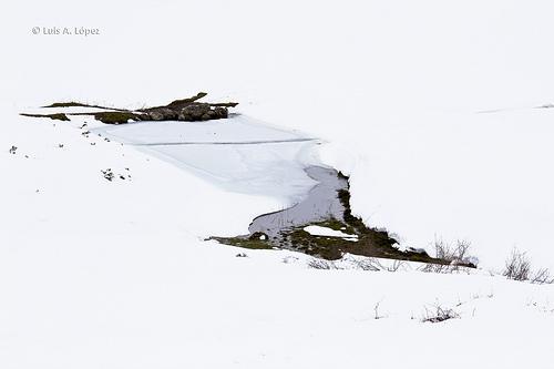 Palombera - Al margen del río Saja